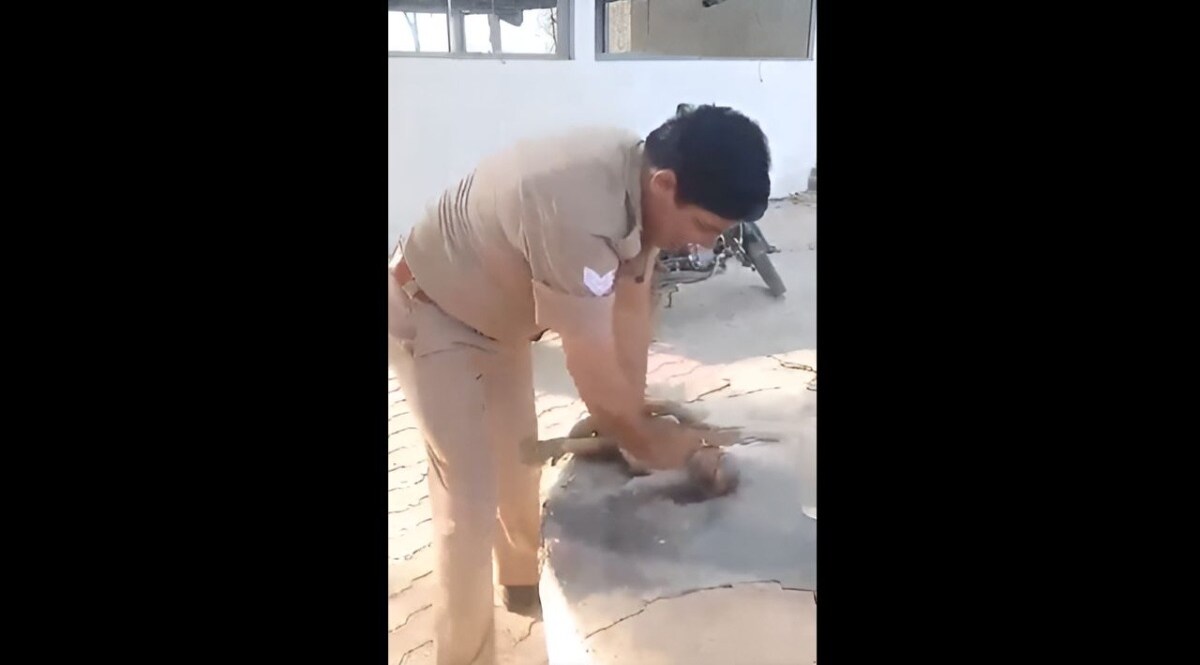 Viral Video: जब पुलिसकर्मी ने गर्मी में बेहोश हुए बंदर की जान बचाई CrimeTak