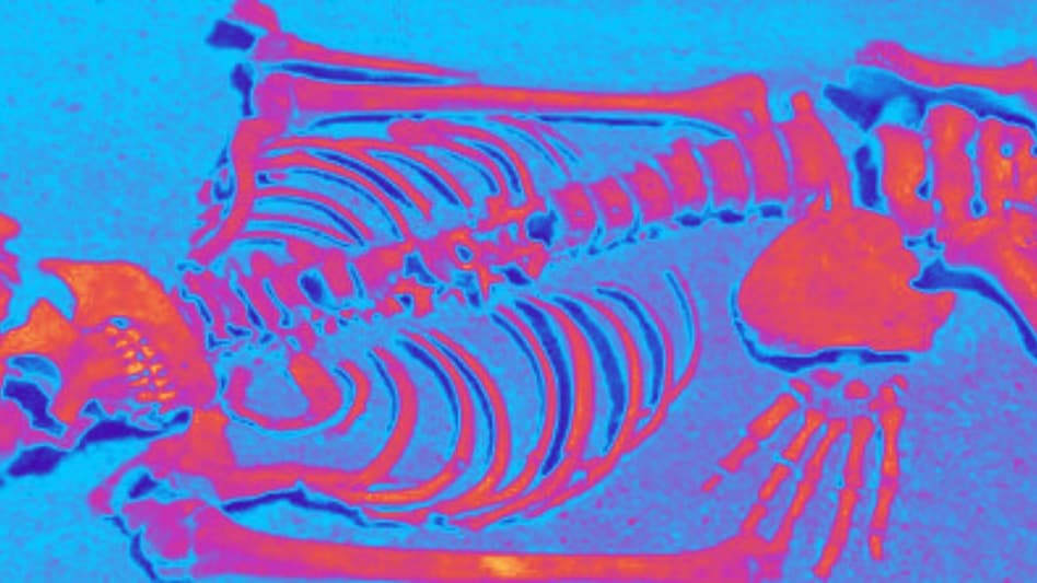 17 दिन से लापता नाबालिग का टुकड़ों में मिला कंकाल, पानी की पाइप लाइन में दफ्न थी लड़की की लाश 17 दिन से लापता नाबालिग का टुकड़ो में मिला कंकाल, पानी की पाइप लाइन में दफ्न थी लड़की की लाश