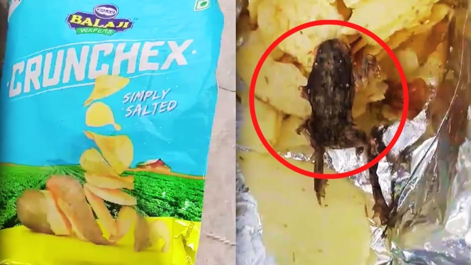कनखजूरा और इंसानी उंगली के बाद अब CHIPS के पैकेट के अंदर निकला मेंढक, मचा हड़कंप कनखजूरा और इंसानी उंगली के बाद अब CHIPS के पैकेट के अंदर निकला मेंढक, मचा हड़कंप