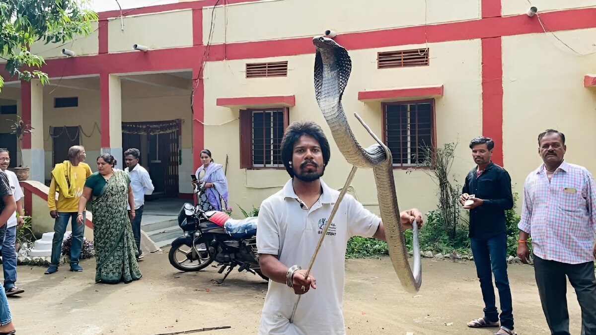 Girls Hostel के टॉयलेट में 6 फुट का 'कोबरा', टीचर को सुनाई दी थी 'हिस्स हिस्स', ऐसे हुआ Rescue Girls Hostel के टॉयलेट में 6 फुट का 'कोबरा', टीचर को सुनाई दी थी 'हिस्स हिस्स', ऐसे हुआ Rescue