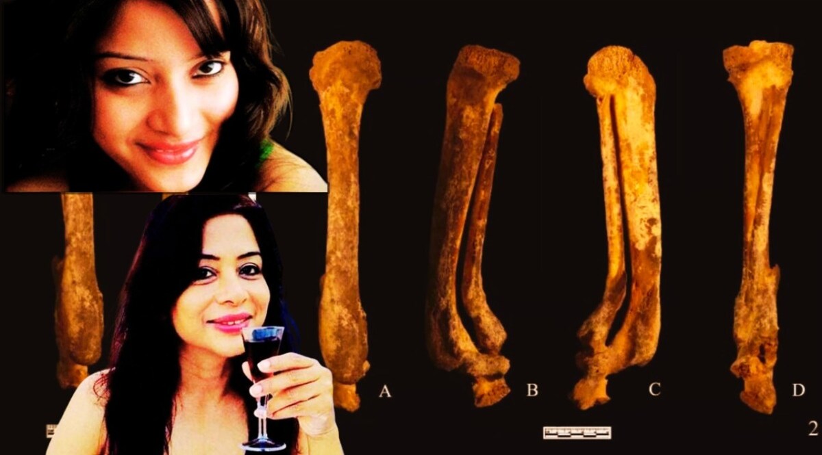 Sheena Bora की खोई हड्डियां CBI को मिलीं, अदालत के पास आया गुमनाम ख़त, हुआ बड़ा खुलासा CrimeTak