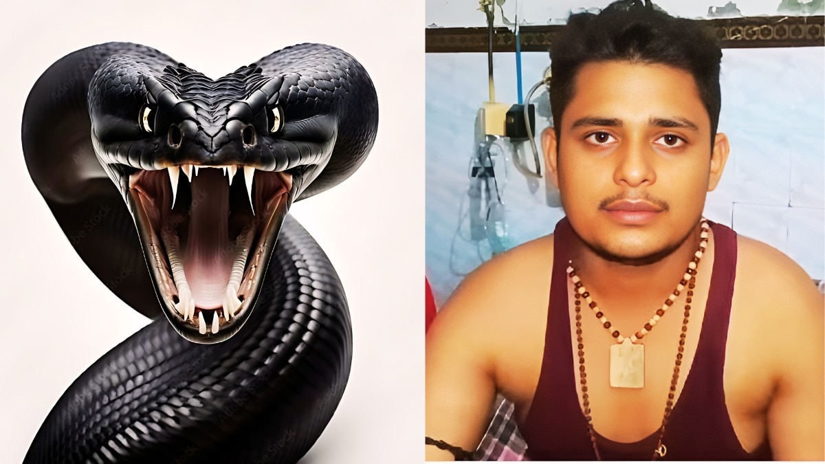 सपने में आया सांप और 40 दिन में सातवीं बार डसा, 9वीं बार डसने से होगी मौत! रहस्यमयी होती सांप की ये कहानी सपने में आया सांप और 40 दिन में सातवीं बार डसा, 9वीं बार डसने से होगी मौत! रहस्यमयी होती सांप की ये कहानी