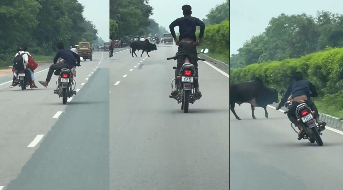 बच्चे को बाइक पर बैठाकर शख्स ने किया जानलेवा स्टंट, Viral Video ने मचाया हड़कंप, पब्लिक बोली- 'अरेस्ट करो' CrimeTak