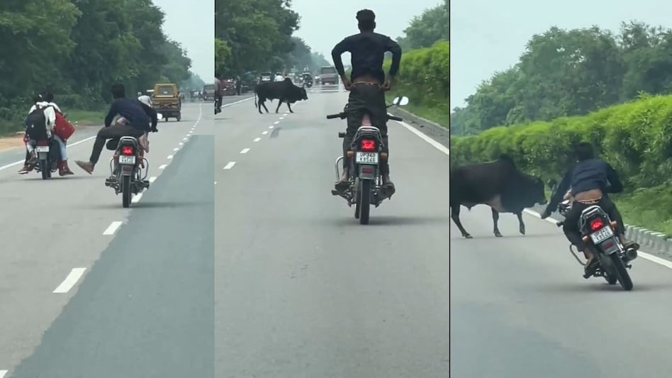 बच्चे को बाइक पर बैठाकर शख्स ने किया जानलेवा स्टंट, Viral Video ने मचाया हड़कंप, पब्लिक बोली- 'अरेस्ट करो' बच्चे को बाइक पर बैठाकर शख्स ने किया जानलेवा स्टंट, Viral Video ने मचाया हड़कंप, पब्लिक बोली- 'अरेस्ट करो'