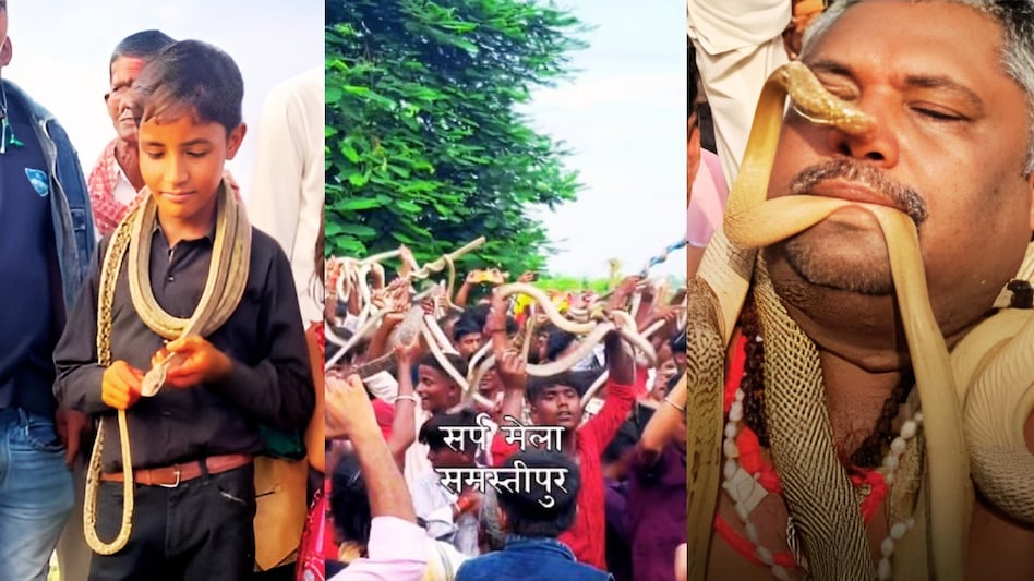 मुंह में सांप, गले में सांप, समस्तीपुर में लगा अदभुत सांपों का मेला, नदी से निकाले गए सैकड़ों सांप, देखिए Video मुंह में सांप, गले में सांप, समस्तीपुर में लगा अदभुत सांपों का मेला, नदी से निकाले गए सैकड़ों सांप, देखिए Video