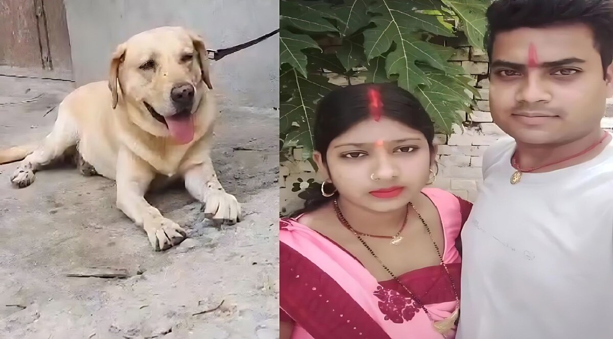 ईंट से पीट-पीटकर पत्नी की हत्या, डॉग हीरा ने इस तरह सुलझाई मर्डर मिस्ट्री, आरोपी को पहुंचाया जेल CrimeTak