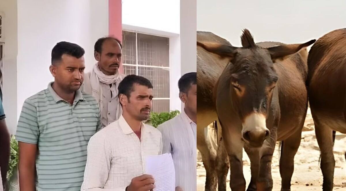 मध्य प्रदेश के इस शहर से 25 गधे 'लापता', मामला पुलिस तक पहुंचा! CrimeTak