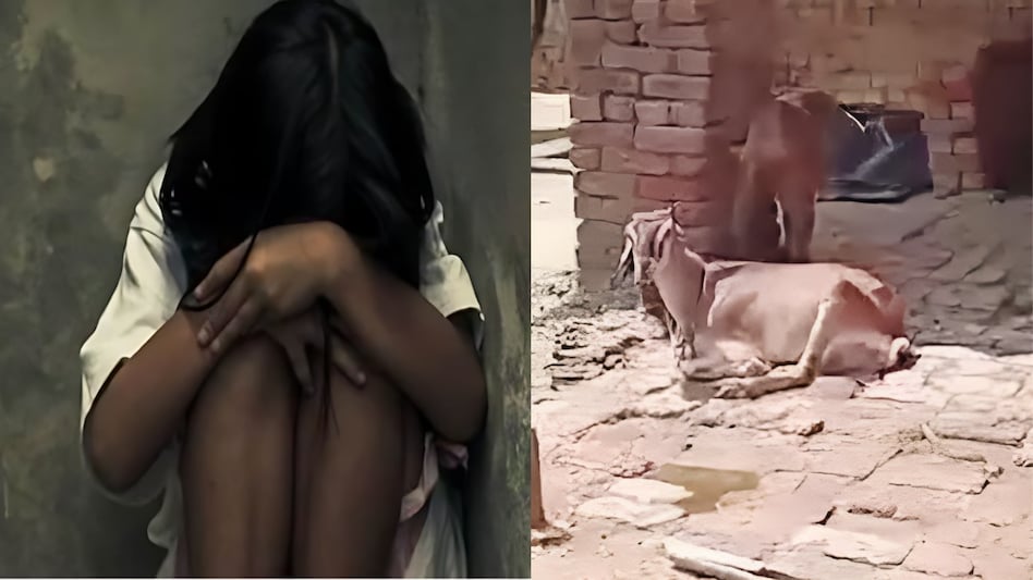 सरकारी अधिकारी ने की 10 साल की बच्ची से दरिंदगी, बकरी को बनाया हवस का शिकार, पड़ोसी ने बना लिया वीडियो सरकारी अधिकारी ने की 10 साल की बच्ची से दरिंदगी, बकरी को बनाया हवस का शिकार, पड़ोसी ने बना लिया वीडियो