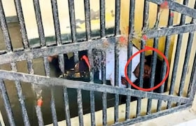 Rajasthan Tonk Naresh Meena: थप्पड़बाज़ नेता जी यानी निर्दलीय उम्मीदवार नरेश मीणा की एक तस्वीर सामने आई है। इस तस्वीर में नरेश मीणा जमीन पर सोया हुआ नजर आ रहा है