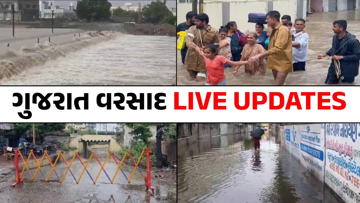 Gujarat Rain LIVE Updates: ગુજરાતમાં વરસાદનો કહેર, વડોદરામાં સોસાયટીમાં મગરો ઘુસ્યા; આજે આ જિલ્લાઓમાં રેડએલર્ટ ગુજરાતમાં વરસાદ