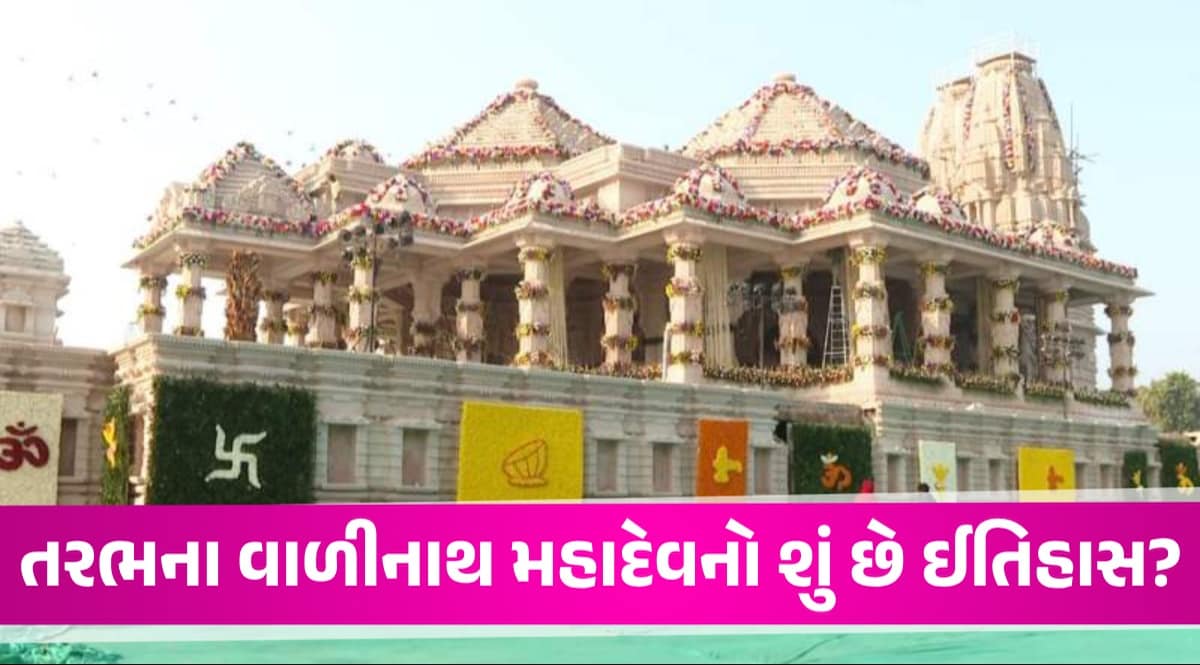 તરભમાં બન્યું રાજ્યનું બીજું સૌથી મોટું મહાદેવનું મંદિર, જાણો વાળીનાથ મંદિરની વિશેષતા અને ઈતિહાસ તરફ વાળીનાથ મહાદેવ મંદિર