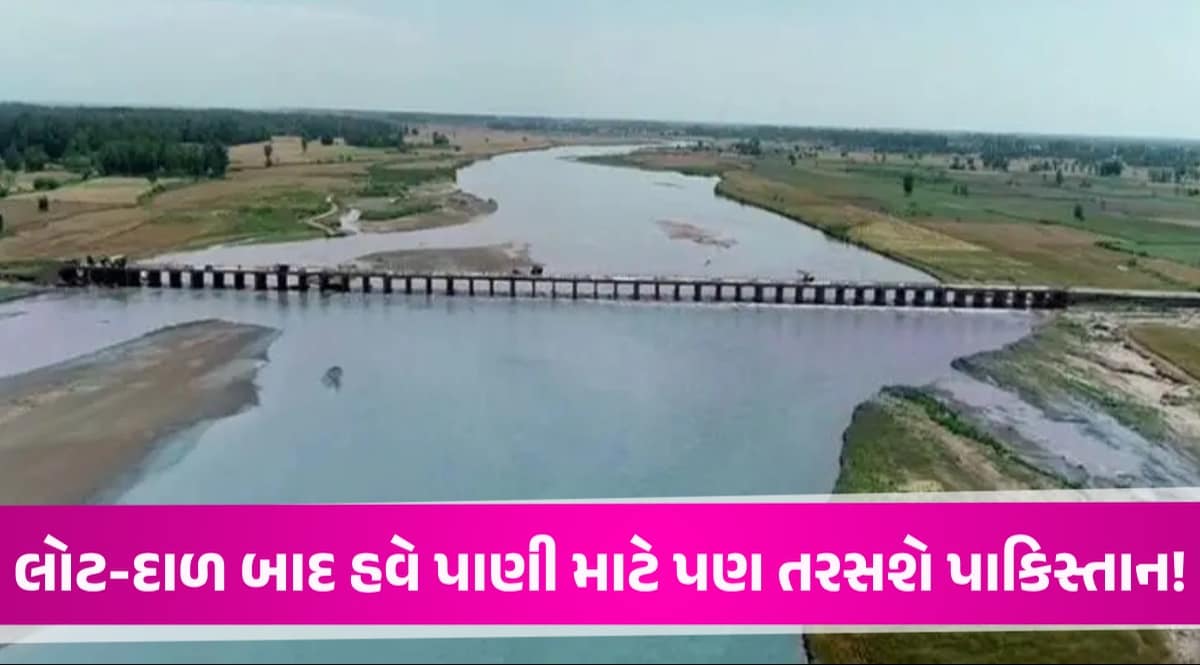 Ravi River Water: ભારતે પાકિસ્તાન તરફ વહેતું 'રાવી'નું પાણી અટકાવ્યું, 45 વર્ષની સમસ્યાનો આવ્યો અંત ravi river