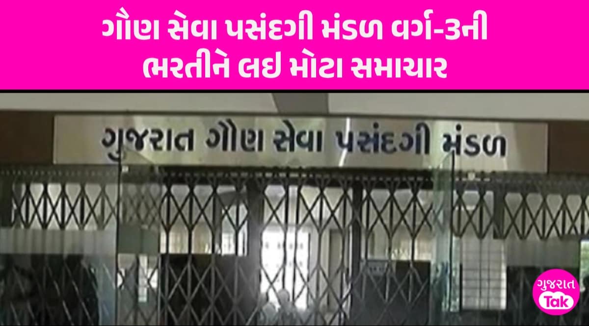 GSSSB Clerk Recruitment: વર્ગ-3ની 5554 જગ્યા માટે આ તારીખથી કોલલેટર કરી શકાશે ડાઉનલોડ, જાણો સંપૂર્ણ કાર્યક્રમ GSSSB Exam Date 2024