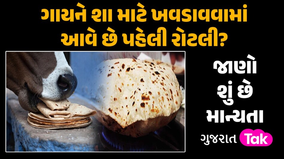 દરેક ઘરોમાં પહેલી રોટલી ગાય માટે જ કેમ બનાવાય છે? જાણો શું છે માન્યતા ગાયને શા માટે ખવડાવવામાં આવે છે પહેલી રોટલી?