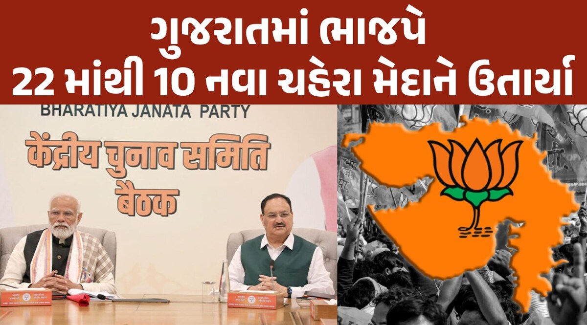 ગુજરાતની 26 બેઠકોમાંથી BJP ના 22 મુરતિયાઓ નક્કી, જાણો કોનું પત્તું કપાયું, કઈ બેઠક પર ઉમેદવાર બાકી? Loksabha Election 2024