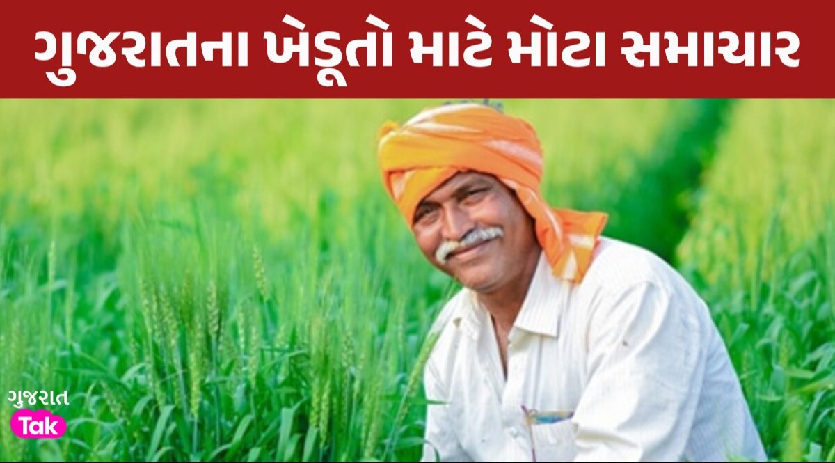 BIG News: રાજ્ય સરકાર તુવેર, ચણા અને રાયડાની ટેકાના ભાવે કરશે ખરીદી, 3 લાખથી વધુ ખેડૂતોને થશે લાભ રાજ્ય સરકાર દ્વારા આગોતરૂ આયોજન