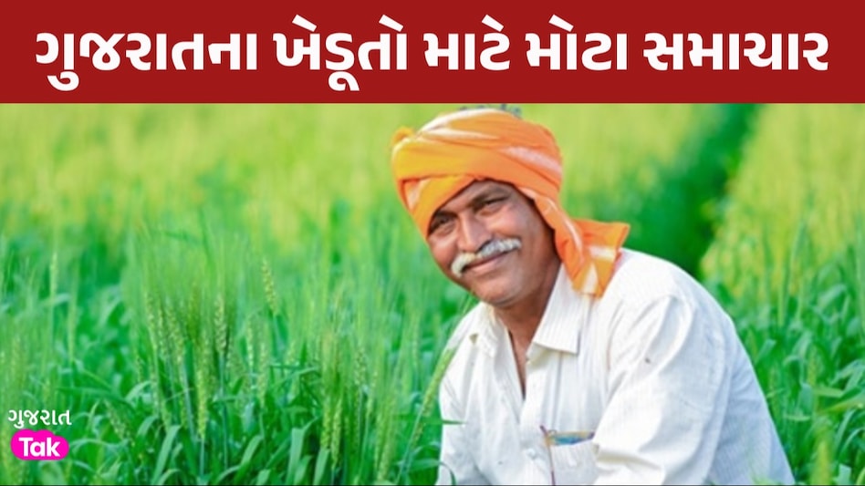 BIG News: રાજ્ય સરકાર તુવેર, ચણા અને રાયડાની ટેકાના ભાવે કરશે ખરીદી, 3 લાખથી વધુ ખેડૂતોને થશે લાભ રાજ્ય સરકાર દ્વારા આગોતરૂ આયોજન