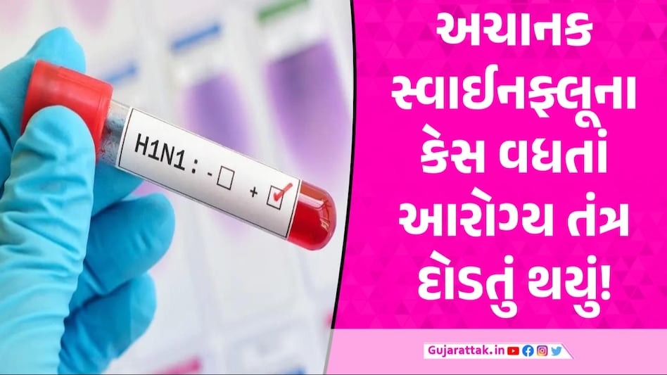ગુજરાતમાં માત્ર 3 મહિનામાં સ્વાઈન ફ્લૂના રેકોર્ડ બ્રેક કેસ, અમદાવાદમાં નોંધાયા સૌથી વધુ સ્વાઈન ફ્લૂ વાયરસ શું છે?