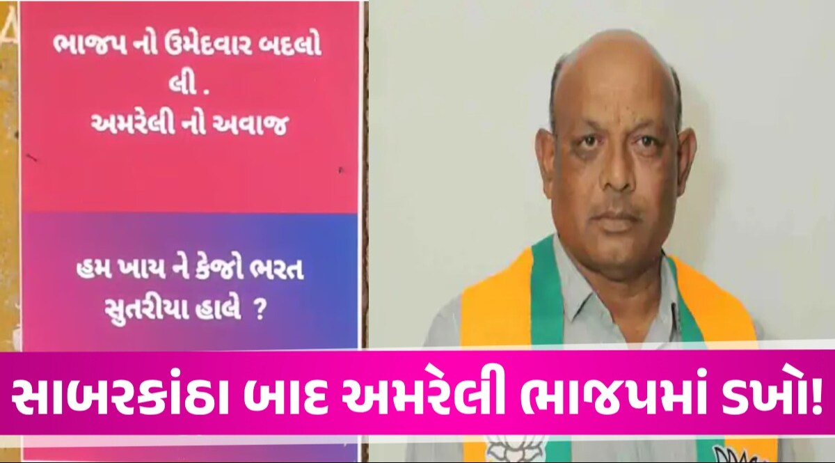 Lok Sabha Election: સાબરકાંઠા બાદ અમરેલી ભાજપમાં વિખવાદ? ભરત સુતરીયાના વિરોધમાં લાગ્યા પોસ્ટર અમરેલી ભાજપમાં વિખવાદ?