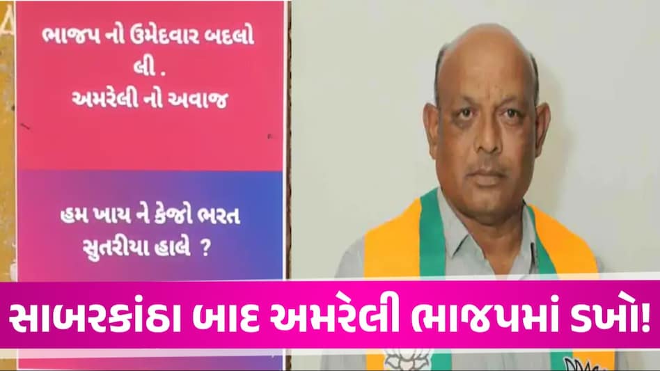 Lok Sabha Election: સાબરકાંઠા બાદ અમરેલી ભાજપમાં વિખવાદ? ભરત સુતરીયાના વિરોધમાં લાગ્યા પોસ્ટર અમરેલી ભાજપમાં વિખવાદ?