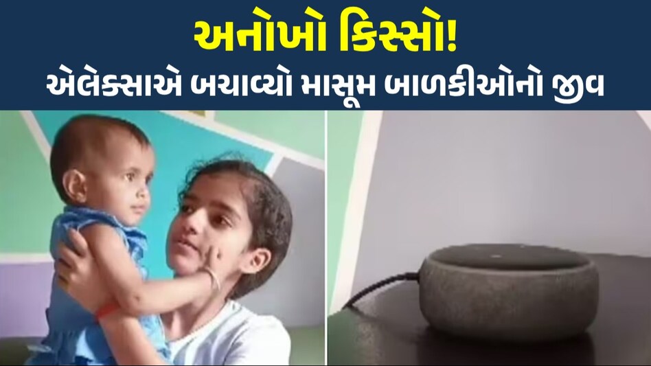 'એલેક્સા, કૂતરાની જેમ ભસ...' 13 વર્ષની સગીરાની સમજદારીએ વાનરના હુમલાથી 1 વર્ષની બહેનને બચાવી શું હતી સમગ્ર ઘટના?