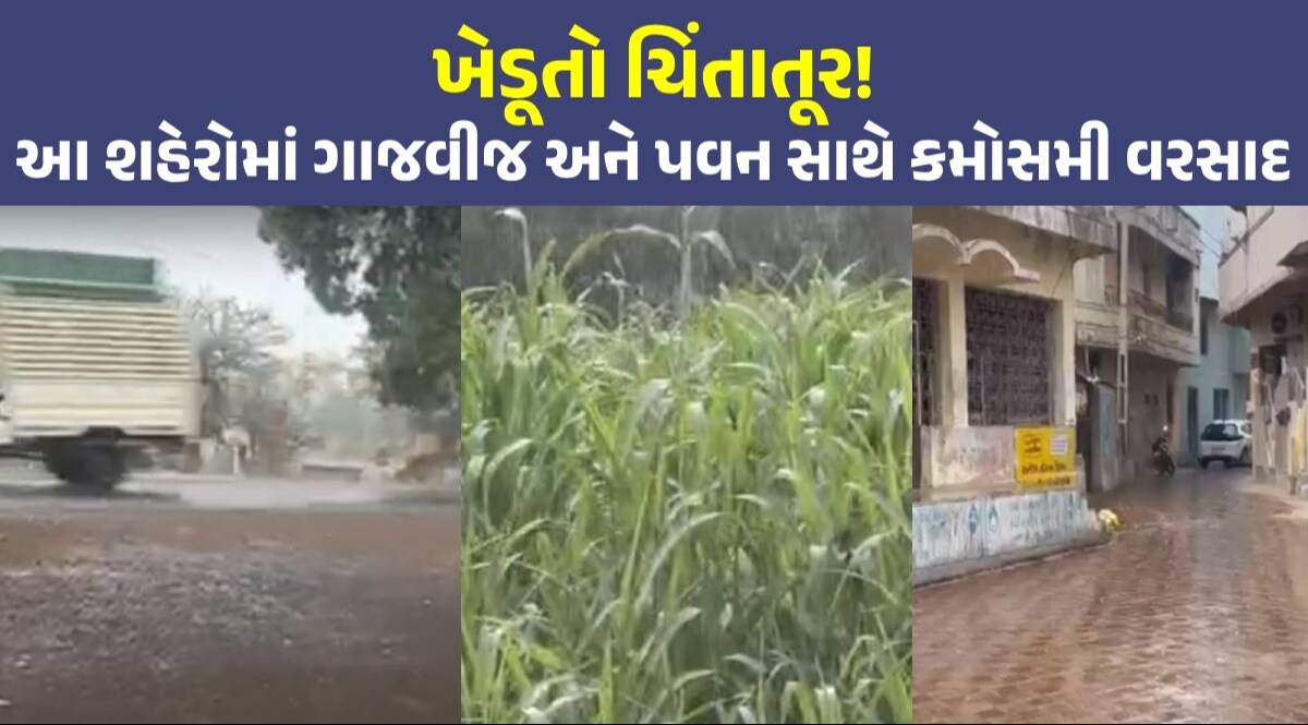 Gujarat Weather: ભરઉનાળે ગુજરાતમાં માવઠું, અનેક વિસ્તારમાં વરસાદ પડતા ધરતીપુત્ર ચિંતાતૂર રાજ્યના અનેક જિલ્લામાં વરસાદી માહોલ