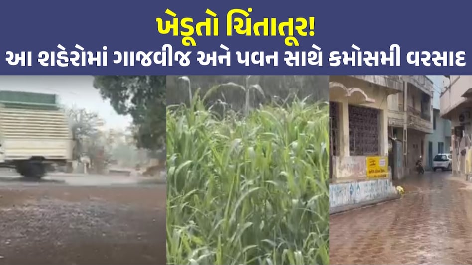 Gujarat Weather: ભરઉનાળે ગુજરાતમાં માવઠું, અનેક વિસ્તારમાં વરસાદ પડતા ધરતીપુત્ર ચિંતાતૂર રાજ્યના અનેક જિલ્લામાં વરસાદી માહોલ