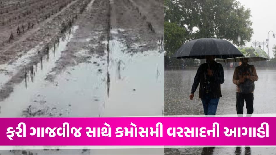 Gujarat Weather: હવામાન વિભાગની ભરઉનાળે'માઠી' આગાહી, આગામી 24 કલાકમાં આ વિસ્તારોમાં પડશે કમોસમી વરસાદ ફરી ગાજવીજ સાથે કમોસમી વરસાદની આગાહી