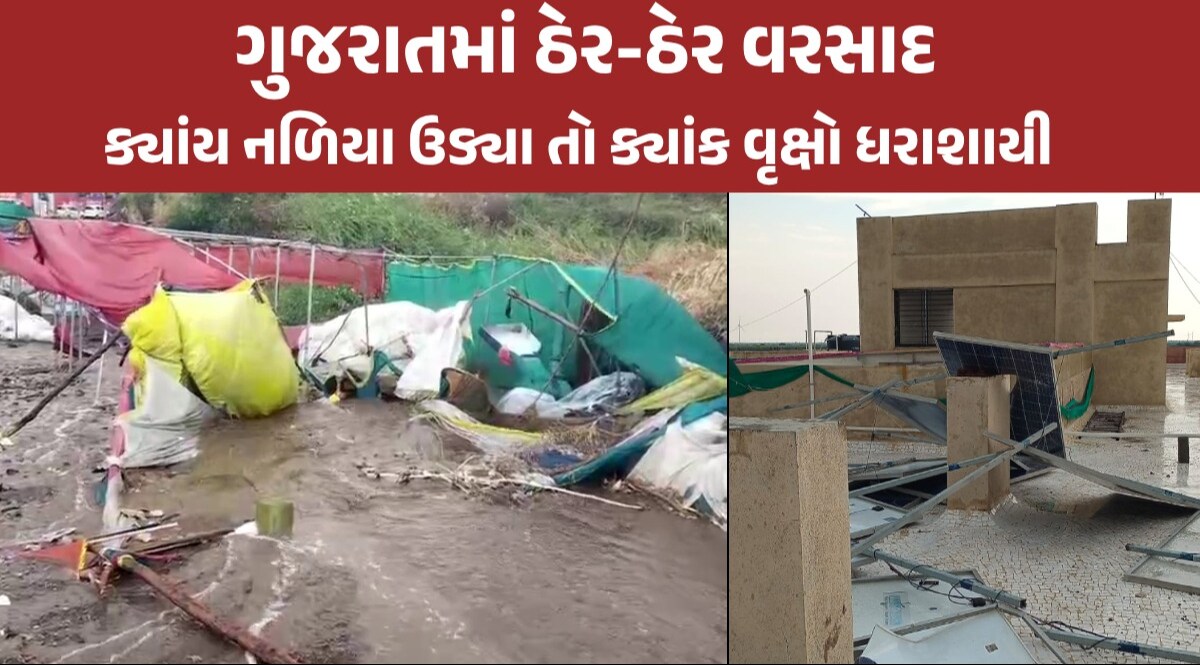 અમરેલી-મોરબીમાં મીની વાવાઝોડુ ત્રાટક્યું, ખેતરમાં ઊભા પાકને નુકસાનથી રાતા પાણીએ રડ્યો જગતનો તાત Gujarat Rain