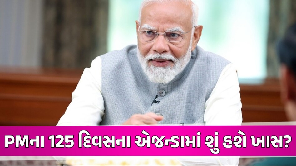 PM Modi Exclusive Interview: 100 નહીં, પહેલા સવા સો દિવસનો એજન્ડા બનાવી રહ્યા છે PM મોદી, જાણો કેમ? PM Modi