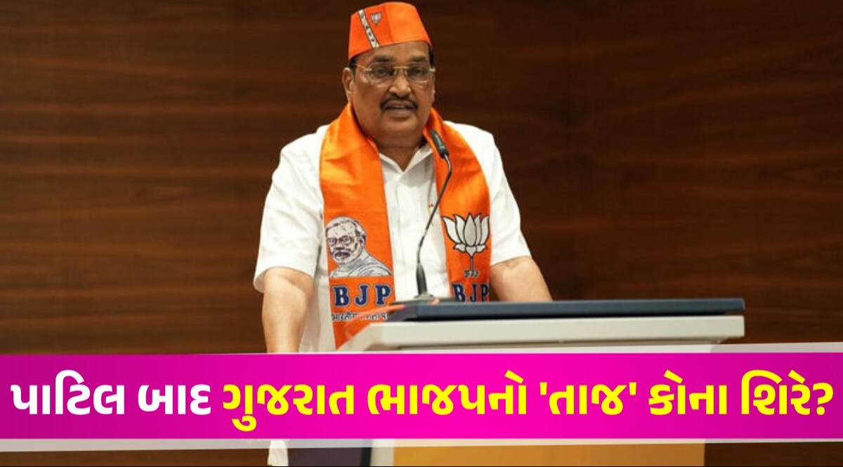 Lok Sabha Election: પાટીલની ખુરશી કોને મળશે? ચૂંટણી પરિણામ બાદ ગુજરાતમાં નવા-જૂનીના એંધાણ પાટિલ પછી કોનું 'રાજ'