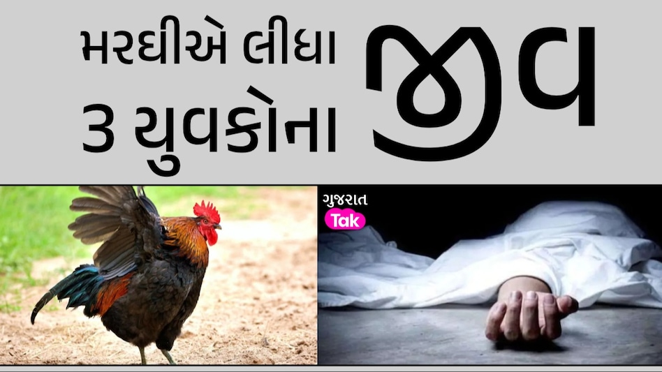 મરઘીના કારણે 3 લોકોએ ગુમાવ્યા જીવ, કૂવામાંથી પાડોશી અને બે સગાભાઈઓના મળ્યા મૃતદેહ મરઘીના કારણે 3 લોકોએ ગુમાવ્યા જીવ