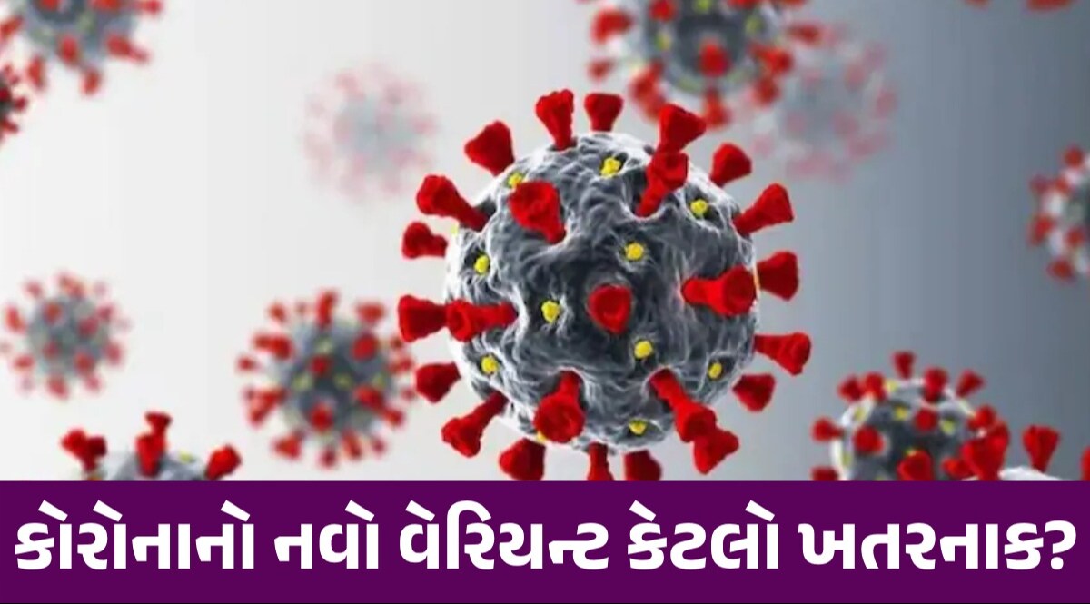 Corona New Variant: કોરોનાનો નવો વેરિયન્ટ FLiRT શું છે? જાણો તેના વિશે A to Z Corona new variant Update