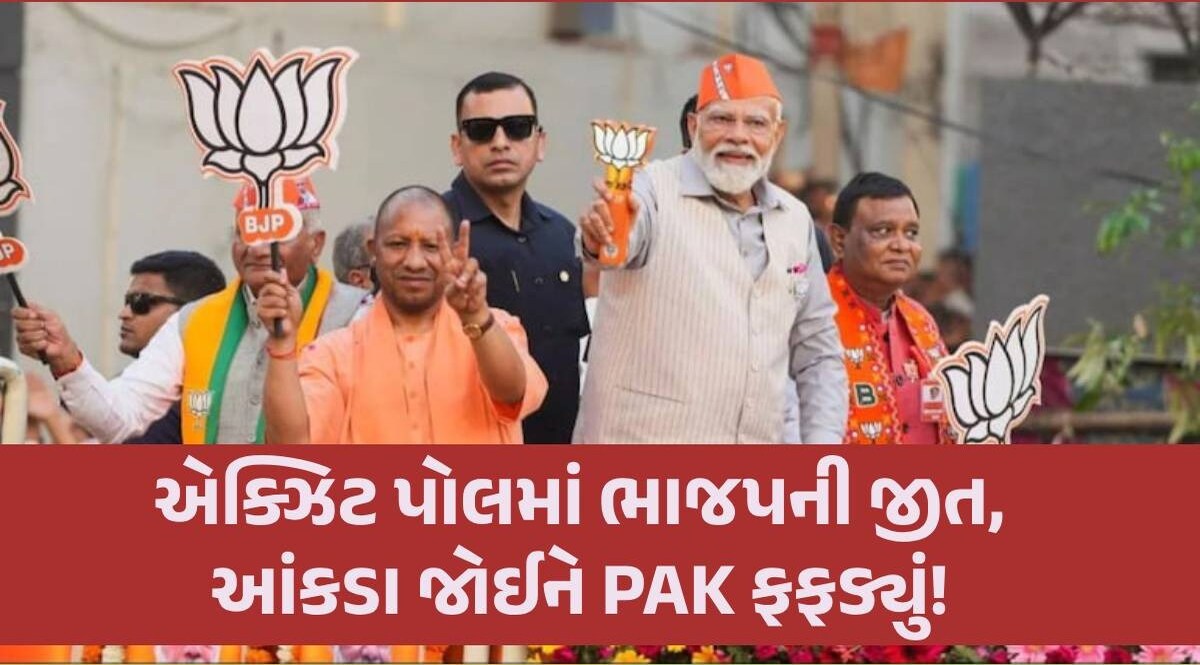 Exit Poll: દેશમાં ફરી એકવાર મોદી સરકાર! પાકિસ્તાન અને વિદેશી મીડિયાએ એક્ઝિટ પોલ પર શું કહ્યું? Exit Polls