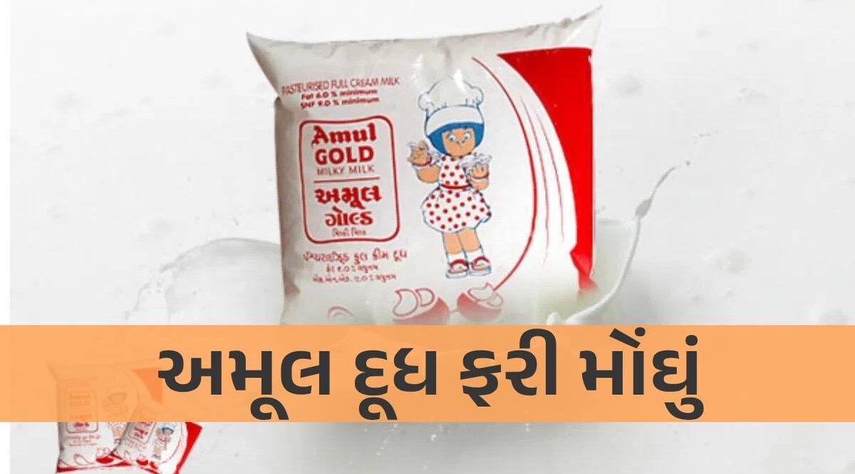 ચૂંટણીના પરિણામ પહેલા જ અમૂલ દૂધના ભાવમાં વધારો ઝીંકાયો, જાણો નવા ભાવ AMUL MILK PRICE