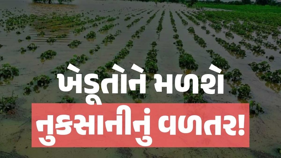 ગુજરાતના ખેડૂતો માટે સૌથી મોટા સમાચાર, 27.50 કરોડથી વધુની ચૂકવાશે સહાય! કારણ કે... gujarat rain crop