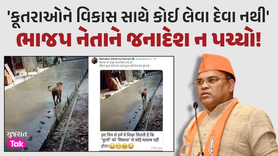 બહુમતી ન મળતા ગુજરાત ભાજપ મોટા નેતા ભાન ભૂલ્યા, મતદારોને 'શ્વાન' સાથે સરખાવ્યા! ભાજપ નેતાને જનાદેશ ન પચ્યો!