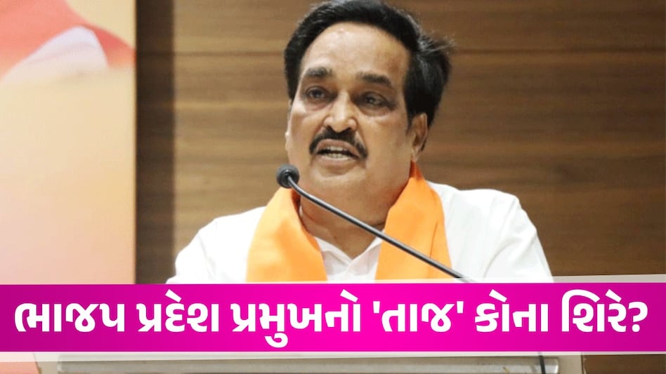 Gujarat Politics: ગુજરાત ભાજપ પ્રદેશ પ્રમુખ માટે આ નામ રેસમાં, જાણો પાર્ટીની કમાન કોને મળશે Gujarat Politics