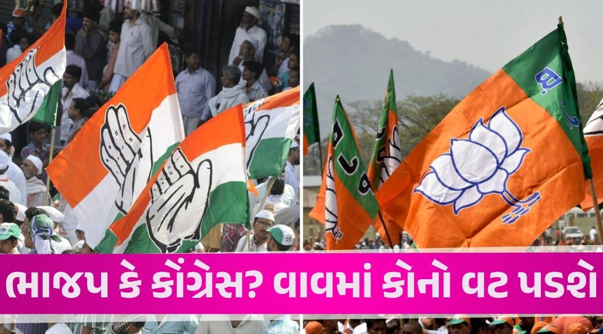 Explainer: વાવમાં વટની લડાઈ, ભાજપ-કોંગ્રેસમાંથી ટિકિટ માટે કયા નેતાઓ પ્રબળ દાવેદાર? Vav Assembly