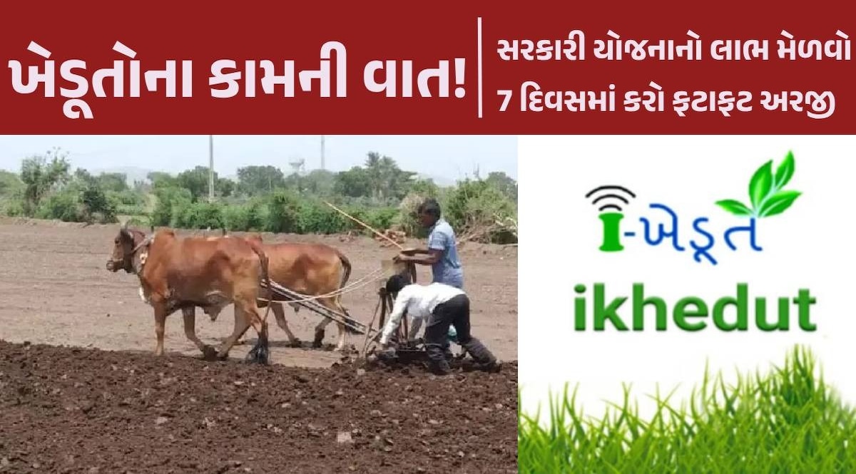 ખેડૂતો માટે આજથી i-Khedut પોર્ટલ ખુલ્યું, સરકારી યોજનાની સહાય માટે ફટાફટ આ રીતે કરો અરજી i-Khedut