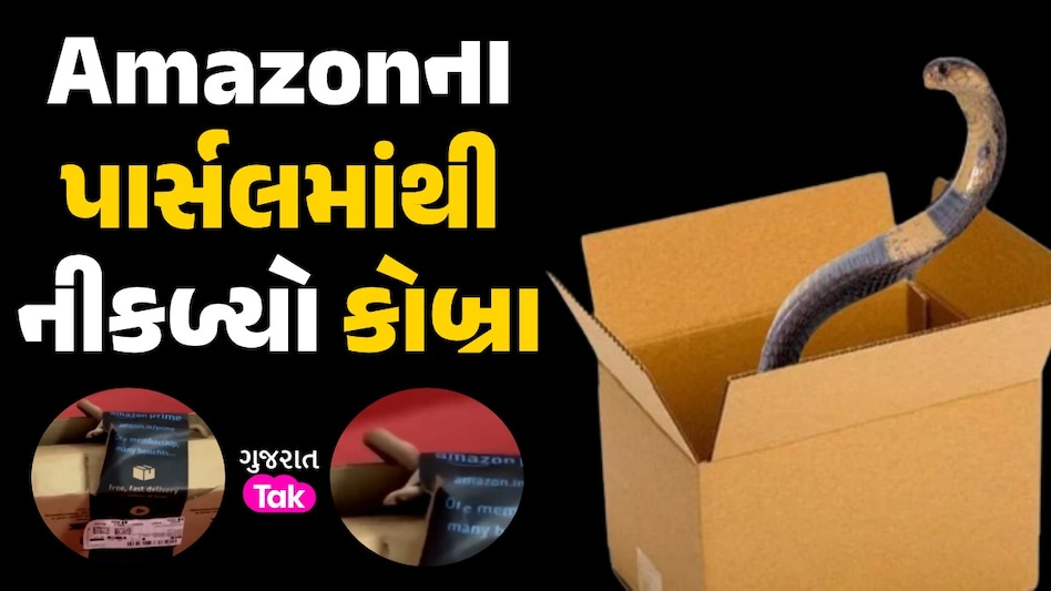 ઓ બાપ રે! Amazon ના પાર્સલમાંથી નીકળ્યો જીવતો કોબ્રા, પરિવારના વધ્યા ધબકારા Amazon ના પાર્સલમાંથી નીકળ્યો કોબ્રા