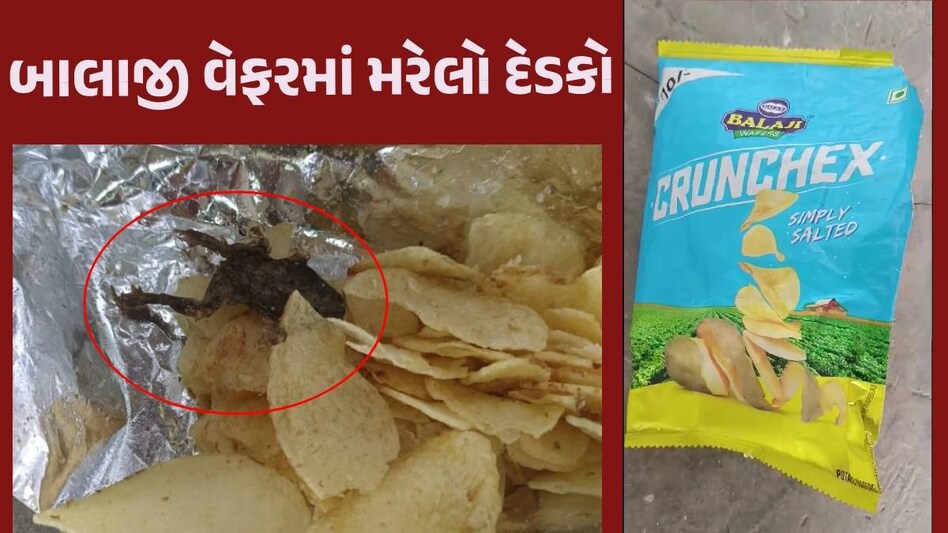 હદ છે! બાલાજી વેફરના પેકેટમાંથી તળેલો દેડકો નીકળ્યો, કસ્ટમર કેરમાં ફોન કરતા મળ્યો ઉડાઉ જવાબ Balaji Wafer