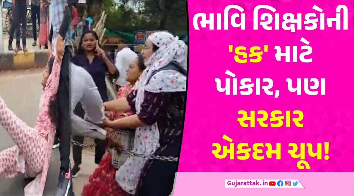 TET, TAT Pass Candidates Protest: સરકારી નોકરીને લઈ આટલા-આટલા આંદોલનો થયા, છતાં ઉમેદવારો તો ત્યાંના ત્યાં જ 'રસ્તા' પર! TET, TAT Pass Candidates