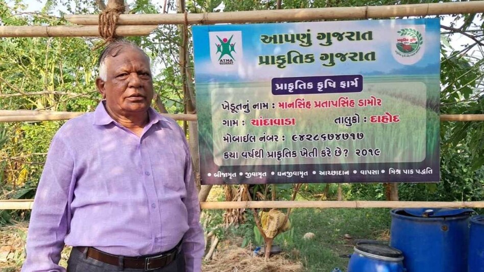ગુજરાતના 70 વર્ષીય ખેડૂતે સફરજન-જામફળની પ્રાકૃતિક ખેતીથી કરી મબલખ કમાણી ખેડૂત માનસિંહ ડામોર
