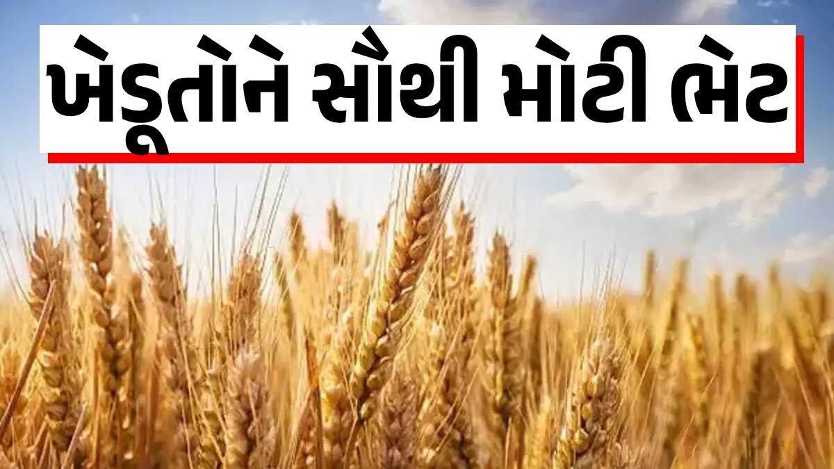 મોટો નિર્ણય : ખેડૂતોને કેન્દ્ર સરકારની ભેટ, 14 પાકો પર MSP વધારાઈ ખેડૂતો માટે નિર્ણય