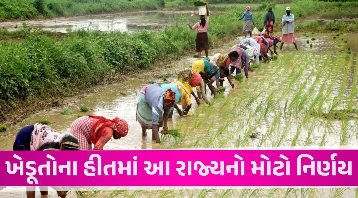 Farmers Loan Waiver: ખેડૂતોની 2 લાખ રુપિયા સુધીની લોન માફ, આ રાજ્ય સરકારનો મોટો નિર્ણય Farmers Debt
