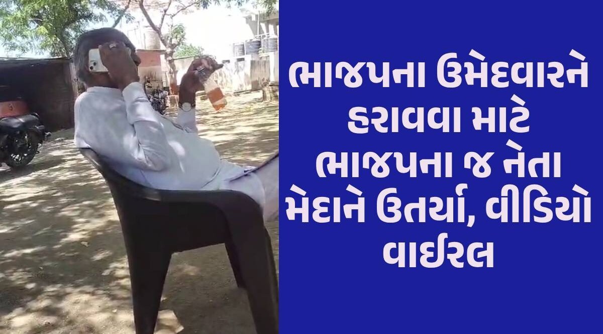 'પંજામાં મતદાન કરવાનું છે, કમળમાં કંઈ નથી લેવાનું', BJPના પૂર્વ MLAનો વીડિયો વાઈરલ થતા ખળભળાટ Amreli News