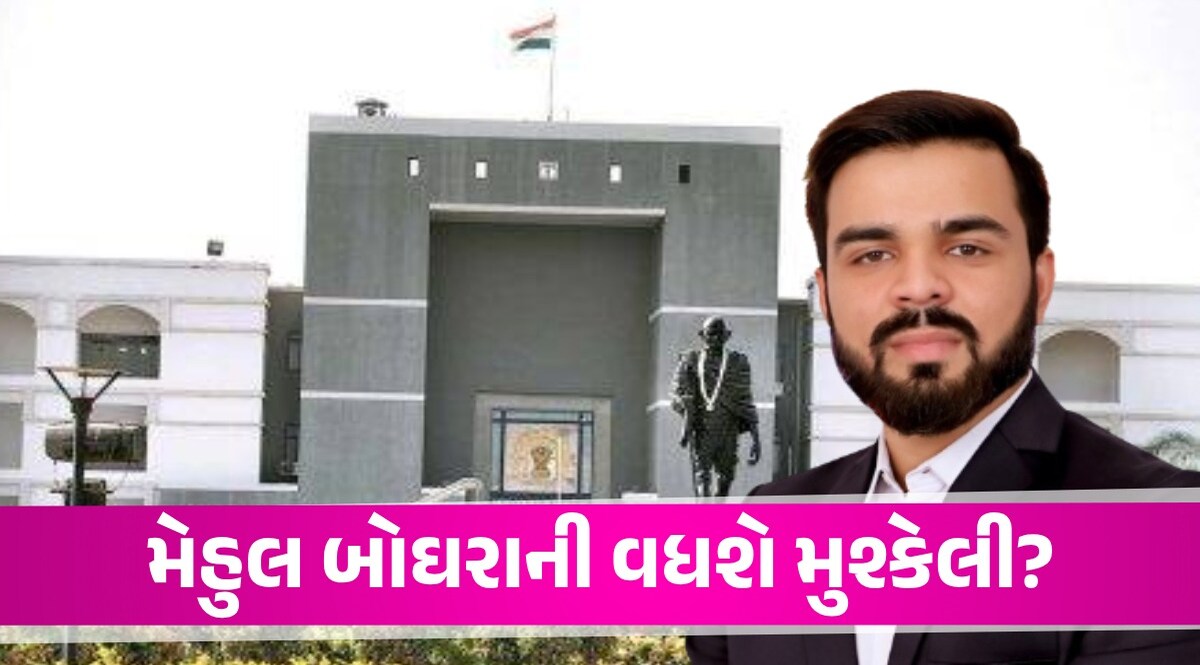 Surat News: 'તમે પોલીસવાળાની પાછળ પડી ગયા છો, પબ્લિસિટીના ભૂખ્યા છો', હાઈકોર્ટે મેહુલ બોઘરાનો લીઘો ઉધડો Advocate mehul boghra