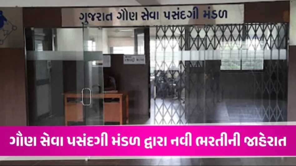 BIG News: સરકારી નોકરીની તૈયારી કરતાં ઉમેદવારો માટે સારા સમાચાર! GSSSB એ નવી ભરતીની કરી જાહેરાત GSSSB