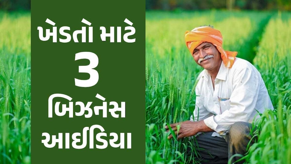 ખેડૂતો માટે 3 જબરદસ્ત બિઝનેસ આઈડિયા, ઓછા ખર્ચે વધુ કમાણીની તક ખેડૂતો માટે બિઝનેસ આઈડિયા